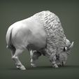 bison6.jpg Bison 3D print model