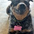 20250423_132240.jpg nfc pet tag