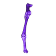 Leg_Bones2.stl Dodo Skeleton (Accurate and High Detail)