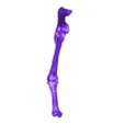 Leg_Bones2.stl Archivo STL Esqueleto de dodo (preciso y con todo lujo de detalles)・Design para impresora 3D para descargar