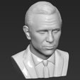 13.jpg James Bond Daniel Craig bust 3D printing ready stl obj