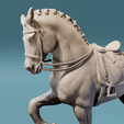 Preview3.png Dressage horse, piaffe