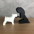 WhatsApp-Image-2023-01-07-at-13.46.58-1.jpeg Girl and her Schnauzer (wavy hair) for 3D printer or laser cut