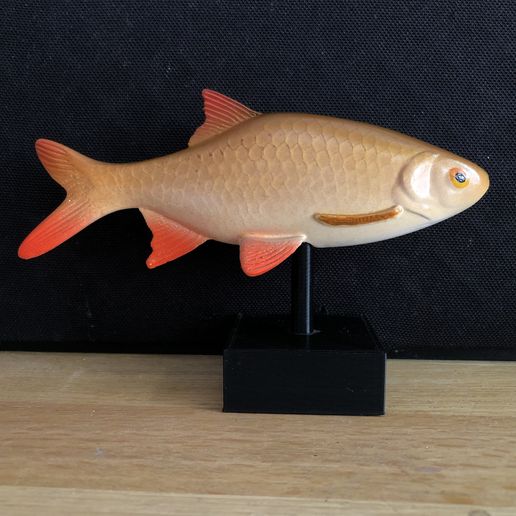 Rudd-stl-3d-print.jpg Ruder auf (optionalem) Sockel