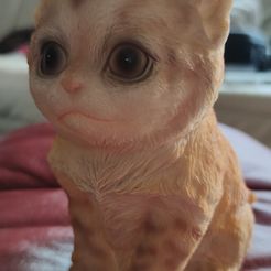 IMG_20230512_101157.jpg Archivo STL gratis Lindo gatito・Plan imprimible en 3D para descargar