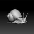 snail1.jpg Snail - Snail 3d model for 3d print