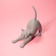 3D-tails-funny-stretching-cat-obj.jpg Stretching cat