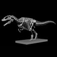 1000045177.png Carcharodontosaurus Skeleton