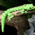 9.jpg Articulated Lizard - Print-In-Place Articulated Day Gecko