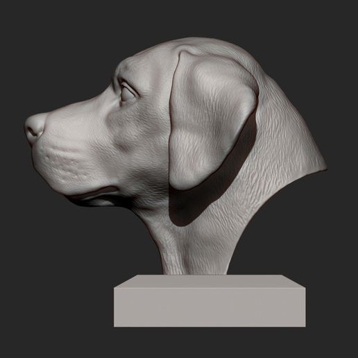 Labrador6.jpg Labrador Modèle d'impression 3D