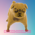 1.png American Bulldog,3D MODEL STL FILE FOR CNC ROUTER LASER & 3D PRINTER