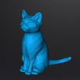 chat1.jpg Gato