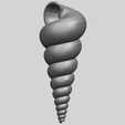 20_TDA0487_spiral_shellA03.png spiral shell