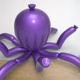 PulpoGlobo4.jpg Globe Octopus