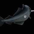 coalfish-open-mouth-statue-box-29.png COALFISH / POLLACHIUS VIRENS trophy with storage space for 3d printing