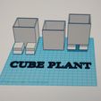 IMG_20211115_123824423.jpg Cube plant (cube pots) without support