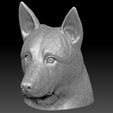 17.jpg German Shepherd head for 3D printing