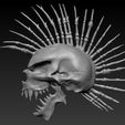 leftside.jpg Mohawk Skull