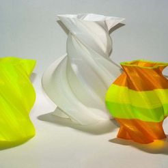 DSC_2970.jpg Free STL file Torqued Vases・Template to download and 3D print