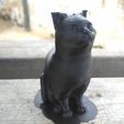 Schrodinky! British Shorthair Cat Sitting In A Box(single extrusion version), customcnc