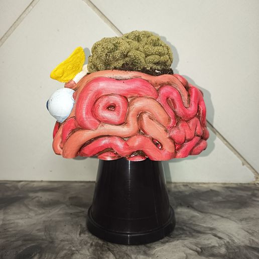 IMG_20250930_051127.jpg Причудливый плантатор FlutterBrain 🪴🌱🌿🧠