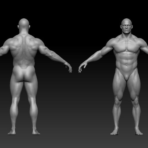 [Free] Semi T-pose Male Body 3D model