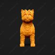 3072-Cairn_Terrier_Pose_01.jpg Cairn Terrier Dog 3D Print Model Pose 01