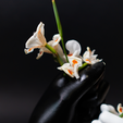 02.png Hand-Shaped Flower Vase