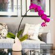 LEAF_Orchid-planter-vase_back.jpg LEAF  |  Orchid Vase Planter, fast-print