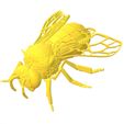 abellot.jpg STL file ZANGER (APIS MELLIFERA) Realistic・3D printing design to download