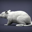 rat2.jpg Rat 3D print model
