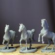 1.jpg Horse Pack for D&D, Tabletop Games and Collectors. 3 Poses Gallop, Trot and Rearing, bases included 32mm scale.