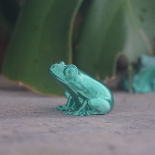 DSC08954.jpg Coquí artificial