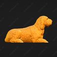 1062-Basset_Griffon_Vendeen_Petit_Pose_07.jpg Basset Griffon Vendeen Petit Dog 3D Print Model Pose 07