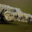 Imagem1.png Crocodile