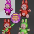 rabbitmain.jpg porta-chaves bobo rabbit multi-set
