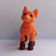 1621685037520.jpg Fox BJD