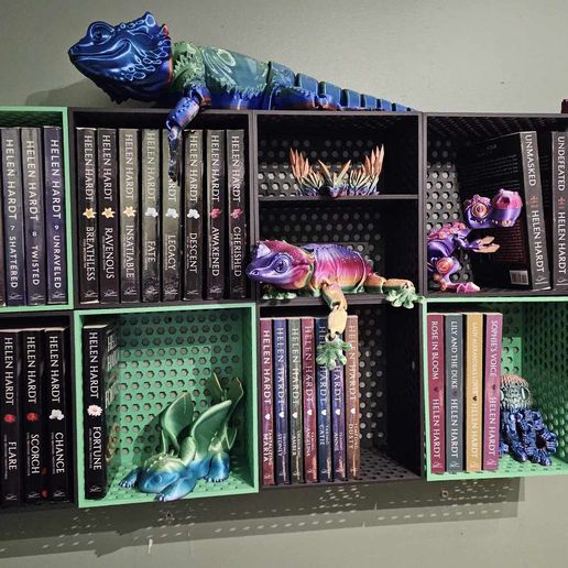 367983644_1043853256663518_9002593876162260729_n.jpg Modular bookshelf/displayshelf