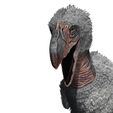 80.jpg BIRD OF PREY TERROR HORROR DEMON DEVIL RAPTOR DINOSAUR WINGS FLYING PREHISTORIC CHARIZARD TERROR BIRD ANIMATED - BLENDER - 3DS MAX - CINEMA 4D - FBX - MAYA - UNITY - UNRE / EVIL / MONSTER Dinosaur
