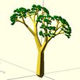 tree-4.jpg Tree
