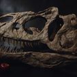 DSC_0183-1500px.jpg Allosaurus skull