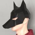 il_794xN.1831202822_1wka.jpg DOG MASK