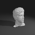 FC2A.png Franco Colapinto Premium Statue