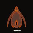 clitoris_wireframe.jpg 3D file Clitoris Anatomy - Resting Clitoris・3D print design to download