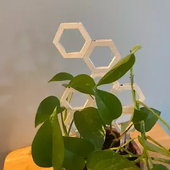 img_2168.webp Fichier 3D Grimpette et support de plantes modulaires・Design pour imprimante 3D à télécharger
