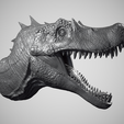 Sp-1.png Spinosaurus Head