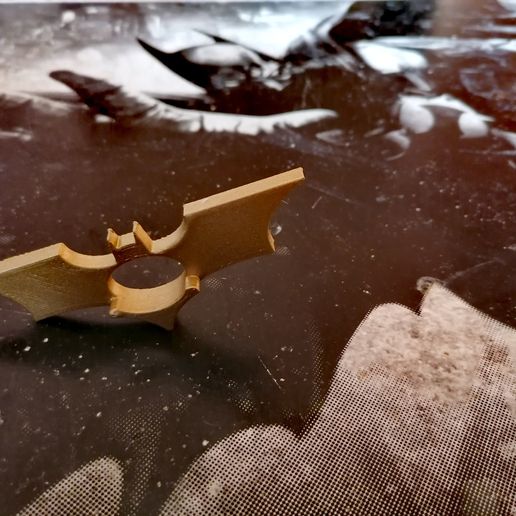 IMG_20210415_090323.jpg Batarang Seitenhalter [no support].