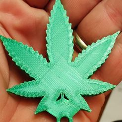 IMG_20230526_015800.jpg Cannabis Leaf Keychain Pendant Earrings Keyring(FREE)