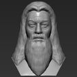 1.jpg Dumbledore from Harry Potter bust 3D printing ready stl obj