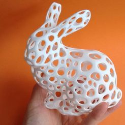 Stanford Bunny - Voronoi Style